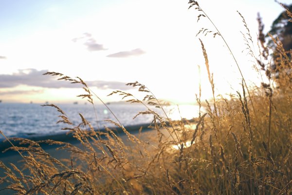 Тихий ветер