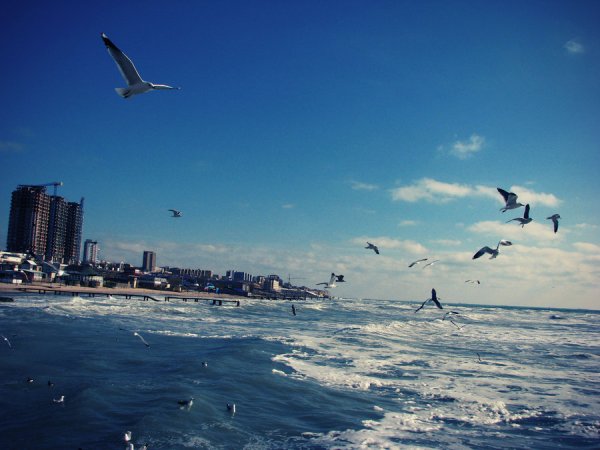 Каспий теңізі