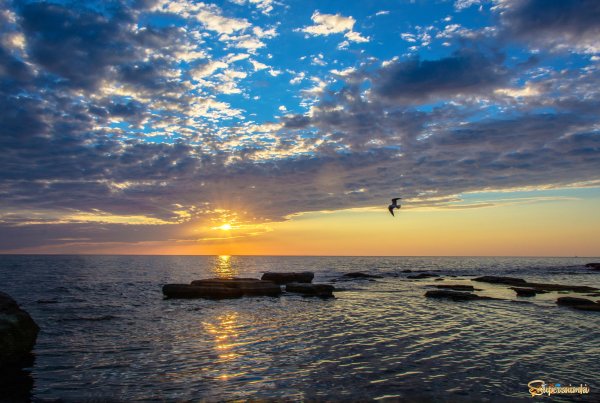Каспийское море Актау
