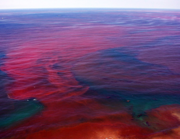 Цветные моря мира