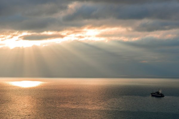 Лучи солнца