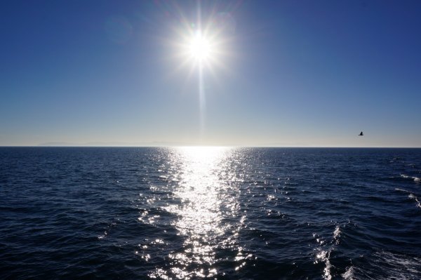 Солнце через жалюзи