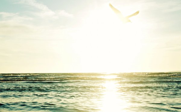 Блики солнца на воде