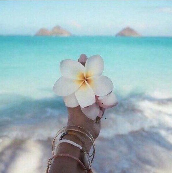 Девушка на рассвете