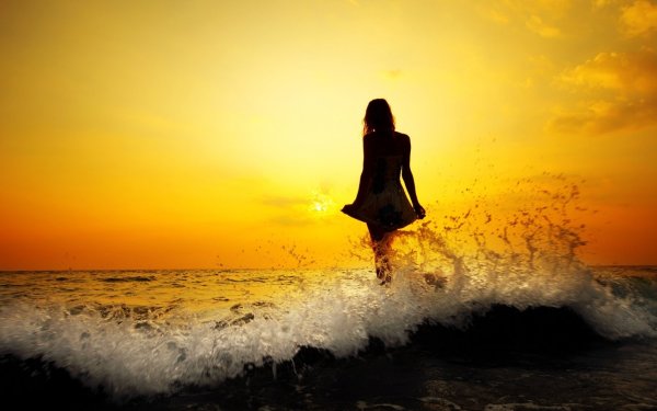 Море птицы девушка