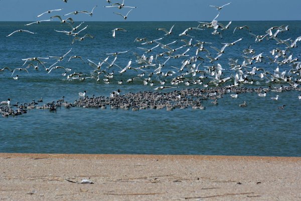 Астрахань море фото