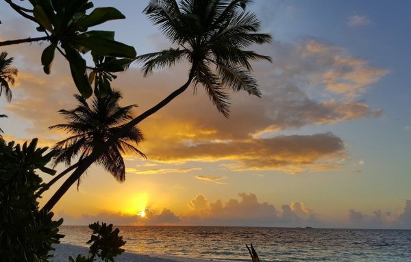 Мальдивы Аравийское море