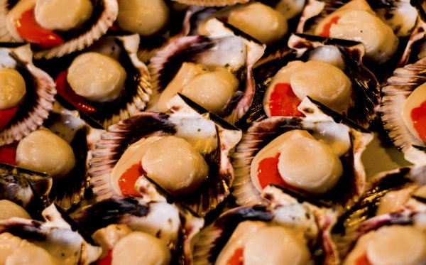 Креветки мидии кальмары