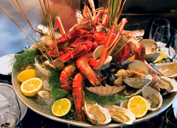 Осьминог съедобный