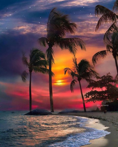 Тропический пляж