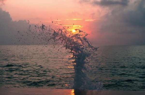 Вдыхайте запах моря