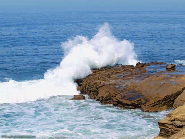 Пахнет морем