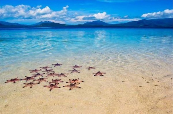 Красота моря 2 класс