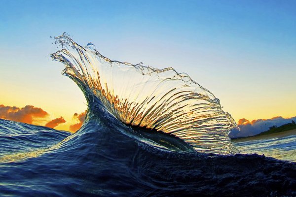 Зеленая волна