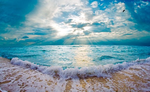 Розовые волны на море