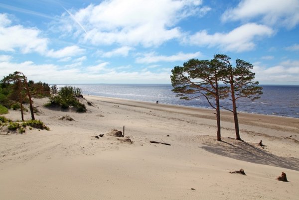 Остров Ягры Северодвинск