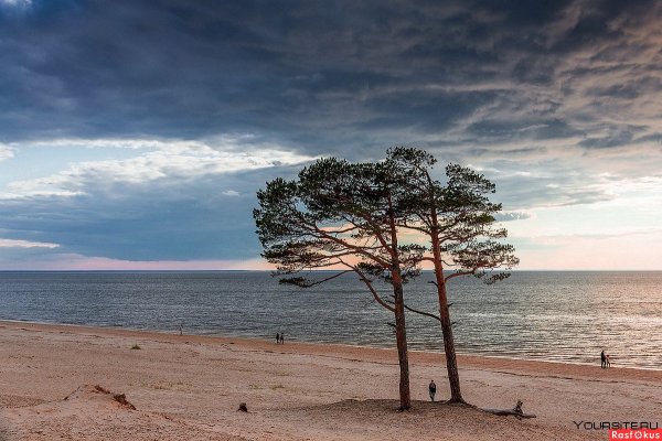 Остров Ягры Северодвинск