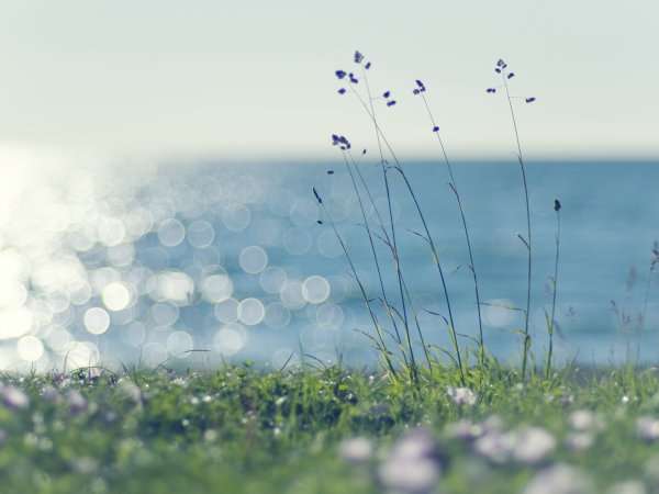 Природа в пастельных тонах