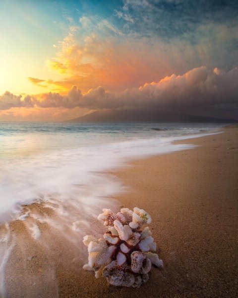 Красивые картинки