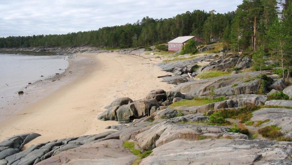 Сердце на песке