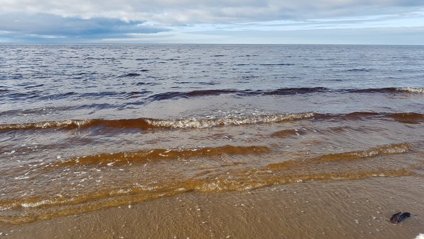 Южный берег белого моря