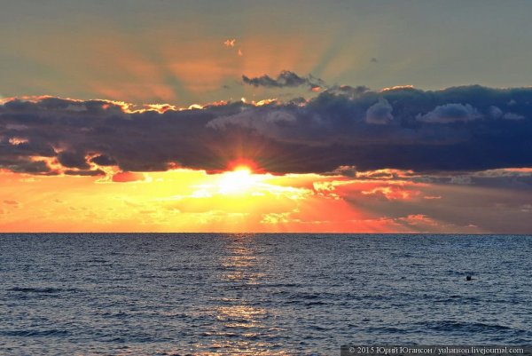 Дети на черном море