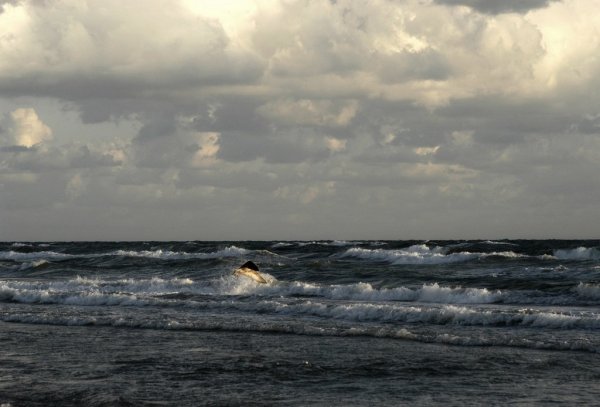 Середина черного моря