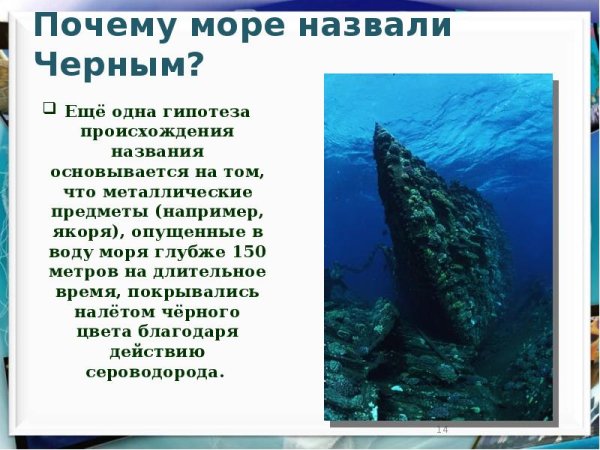 Черное море презентация