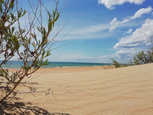 Дюны Джемете Анапа пляж