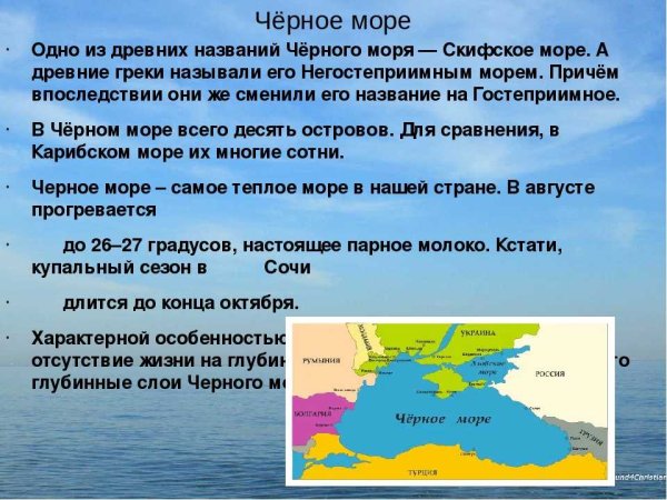 Черное море доклад