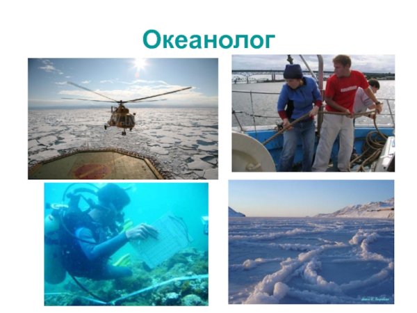 Профессии связанные с морем