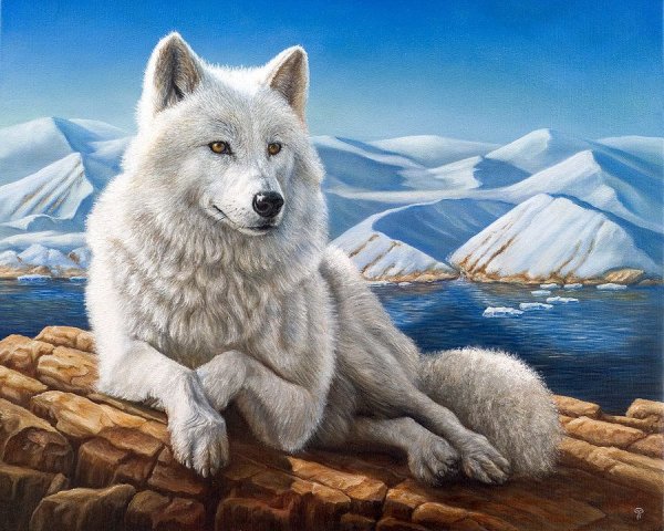 Мексиканский Лобо