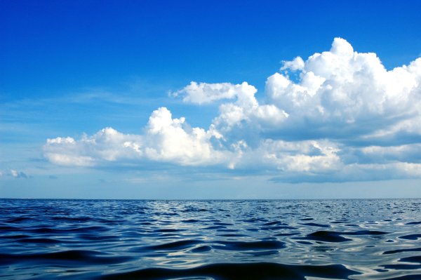 Дневное море фото