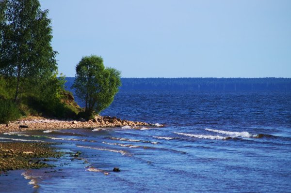Горьковское водохранилище