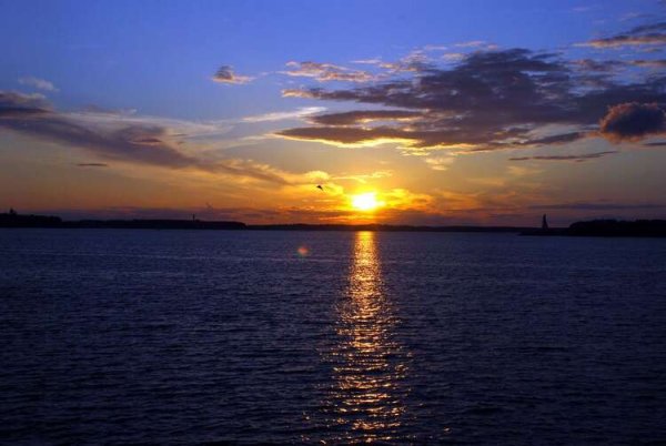 Водохранилища на реке Волге Рыбинское