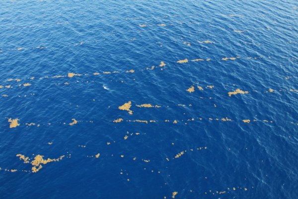 Опасное море