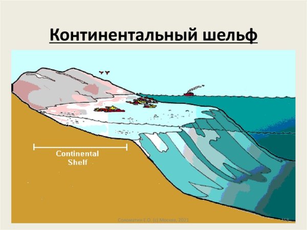 Строение континентального шельфа