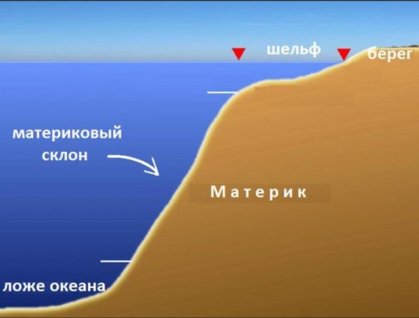 Шельф материковый склон ложе океана