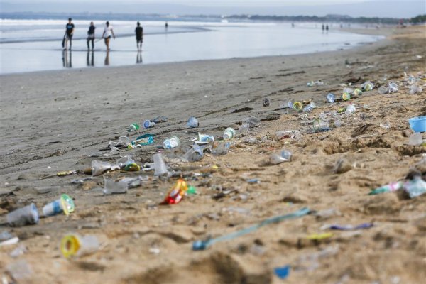 Загрязнение побережья