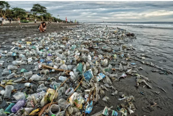 Загрязнение Балтийского моря