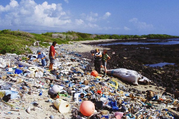 Грязные пляжи Индии