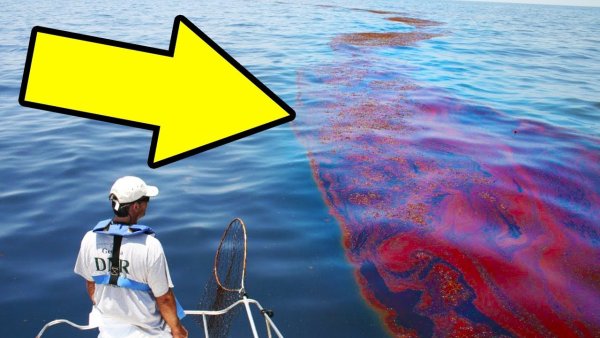 Мусорный остров Токио