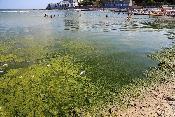 Загрязнение побережья