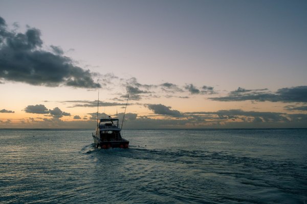 Доминирование мужчины