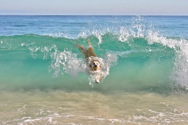 Пятница море