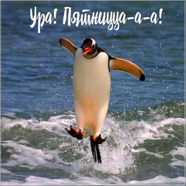 Ура пятница