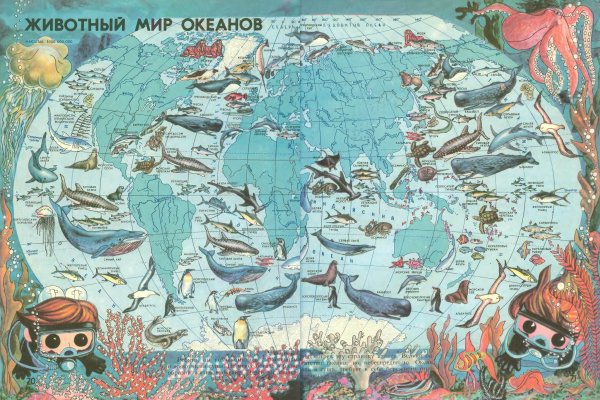 Материки и океаны на карте