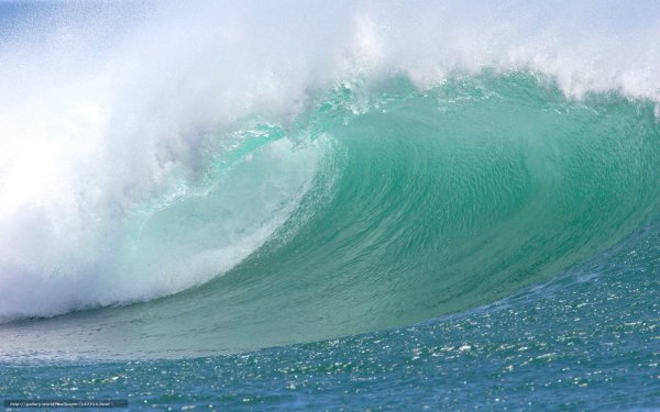 Стихия воды Кларк Литтл