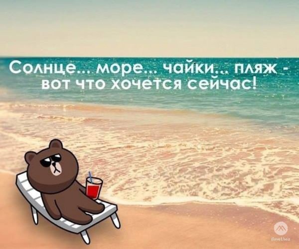 Кот на пляже