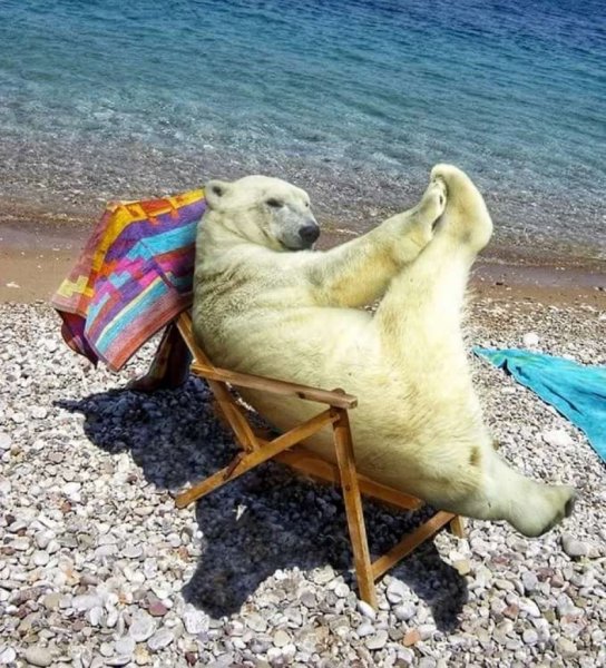 Шутки про отдых